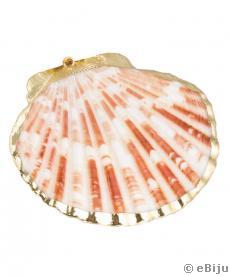Természetes fehér/barna kagyló medál, arany szegéllyel